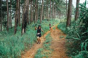 BIB: 
                            <button type="button" onclick="openModal(25679906)" class="btn btn-primary btn-sm float-right btn-popup" data-toggle="modal" data-target=".modal-high-quality">
                        <i class="fas fa-shopping-cart"></i> Add to Cart
                    </button>
                                            <button type="button" onclick="isThisMe(25679906, true)" class="btn btn-success btn-sm float-right btn-popup btn-isme hidden" data-toggle="tooltip" data-placement="bottom" title="นี่คือรูปของคุณใช่ไหม คลิกที่นี่เพื่อเอาเข้าอัลบั้ม">
                        <i class="fas fa-plus"></i> Add to album
                    </button>
                    <button type="button" onclick="isThisMe(25679906, false)" class="btn btn-warning btn-sm float-right btn-popup btn-isnotme hidden">
                        <i class="fas fa-ban"></i> Remove from album
                    </button>